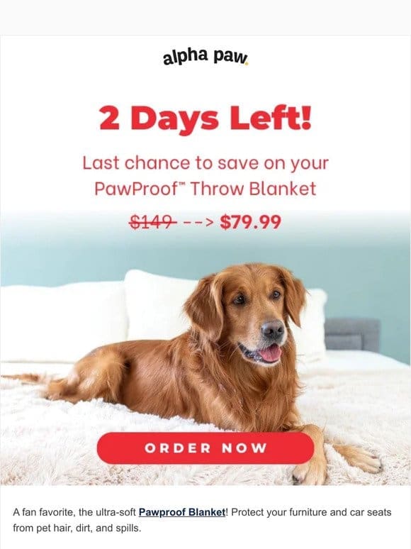⏰ Last Chance to save on a PawProof Throw Blanket