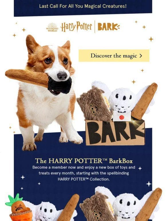 ✨ Your dog’s is invited to The HARRY POTTER™ BarkBox ✨