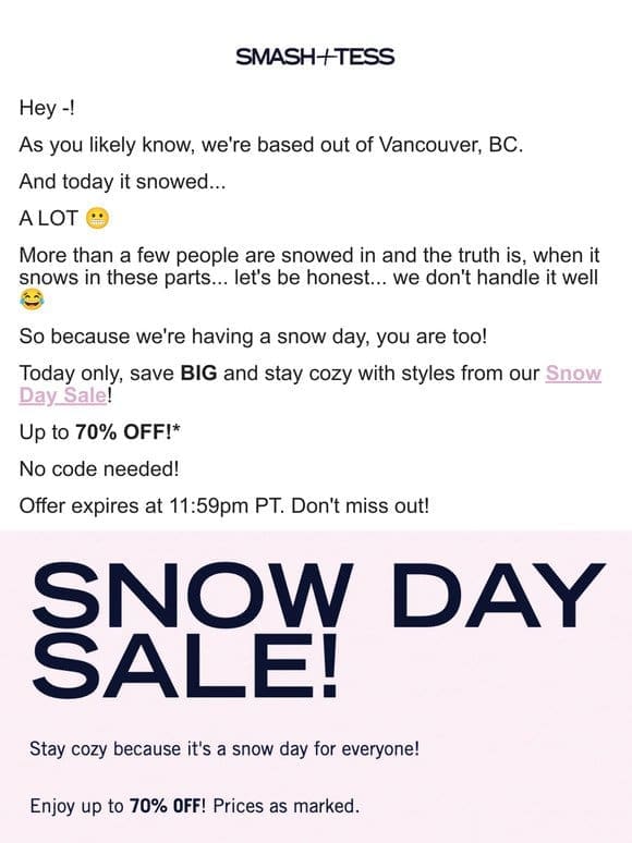 ❄️ Snow Day Flash Sale! ☃️