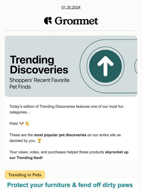 11 Pet Finds Trending Now
