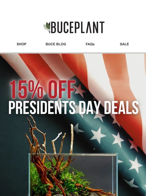 15% OFF for Presidents’ Day Weekend!