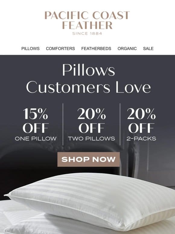 2-Pack Pillows Are 20% OFF!