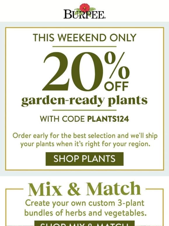 20% off plants for a limited time!