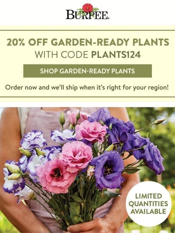 20% off plants – shop now