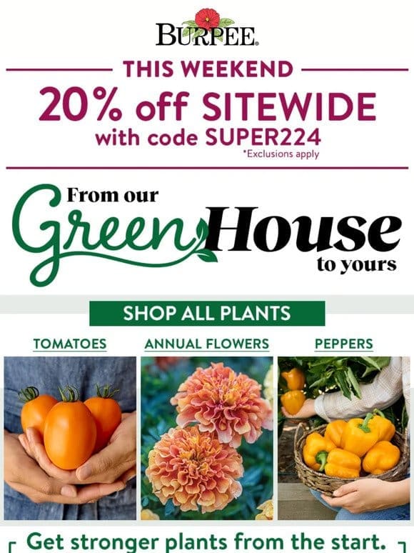 20% off sitewide – order now