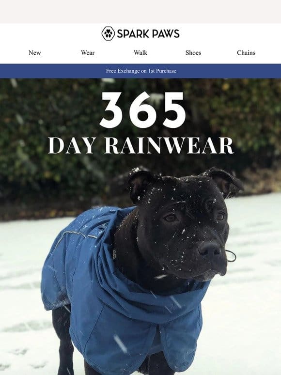 365 Day Rainwear for Your Dog  ️⚡