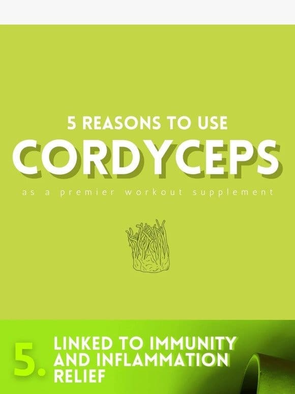 5 Benefits of Using Cordyceps Mushrooms