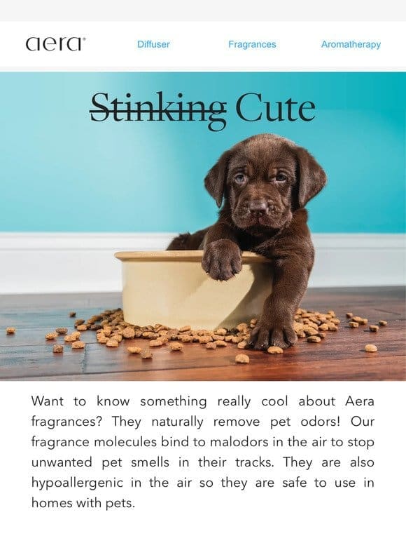 Aera For Pets