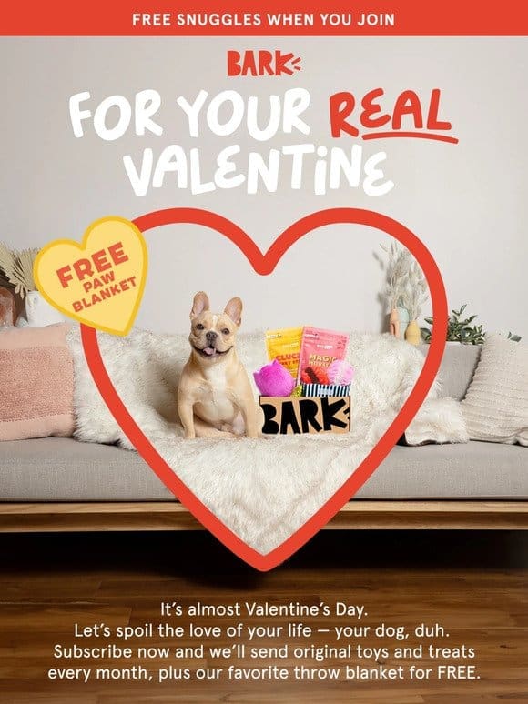 Alert: Your dog is expecting a Valentine’s Day gift
