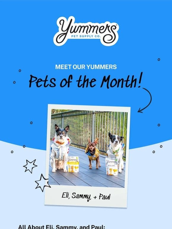 Announcing our 1st Official Yummers Pet of the Month