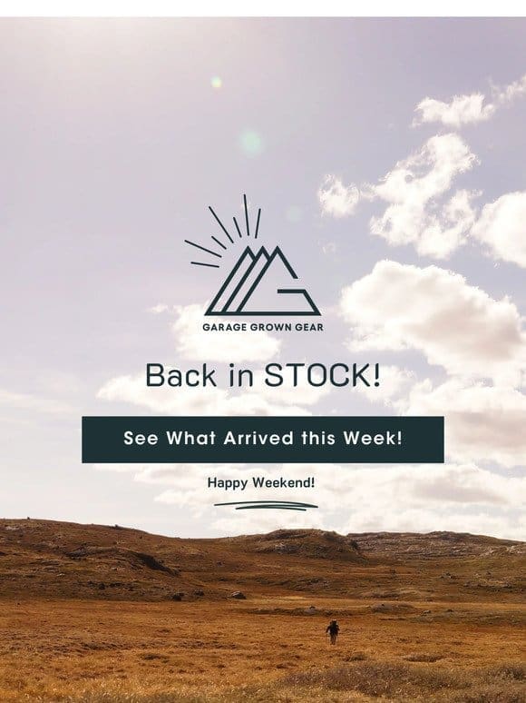 Back in Stock | February!