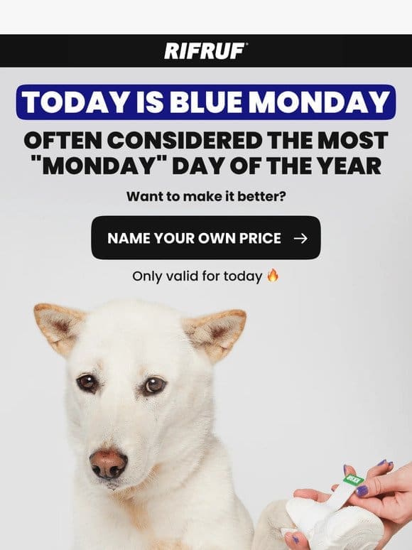 Beat the Blue Monday! Name Your Price Campaign Inside!