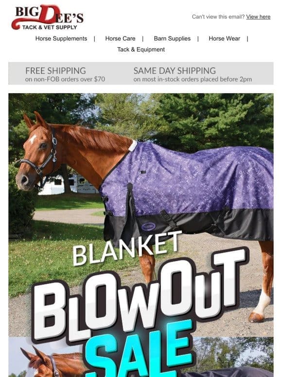 Blanket BLOWOUT $49.95 each + New Apparel Markdowns