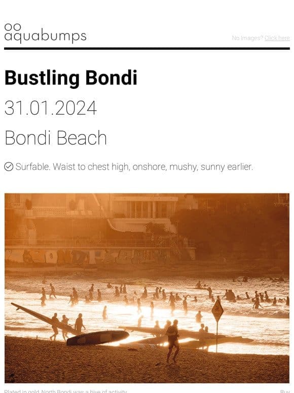 : : Bustling Bondi