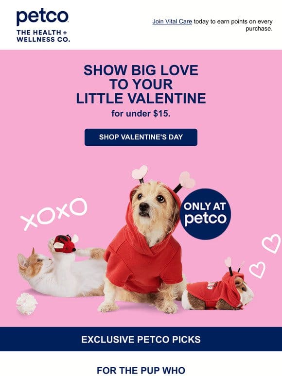 Celebrate your furever love for under $15!
