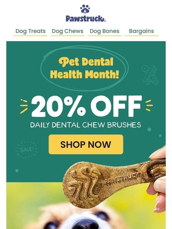 Daily Dental Chew Brushes 20% off!  ✨