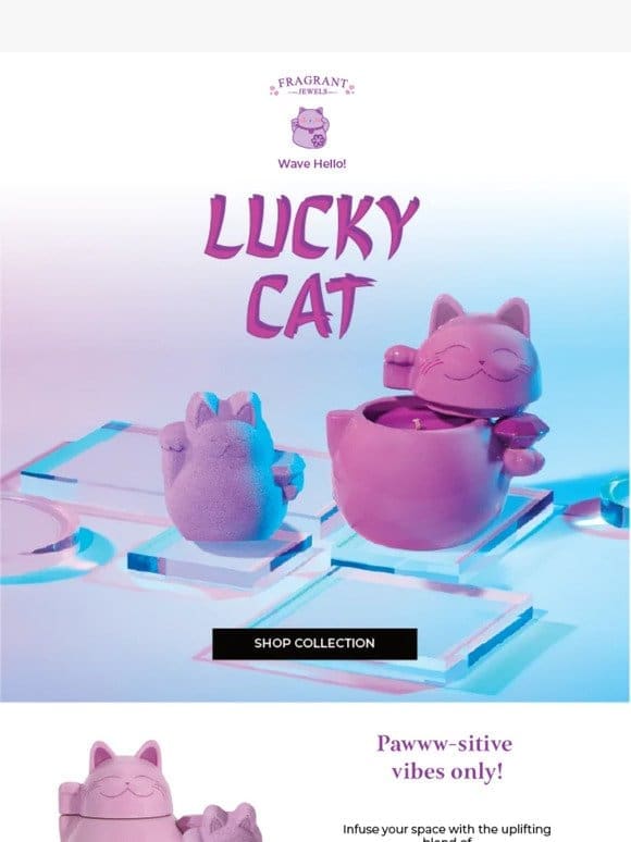 Discover Our NEW Lucky Cat Collection