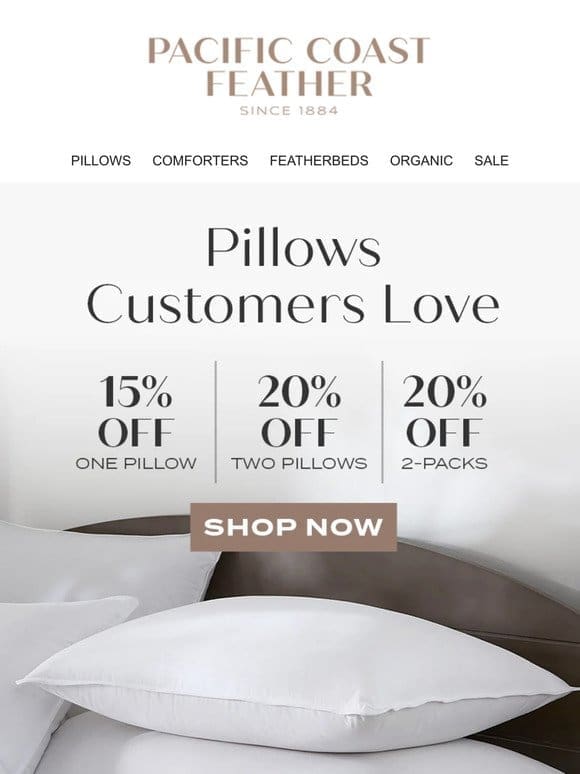 Discover Pillows Customers Love up to 20% OFF!