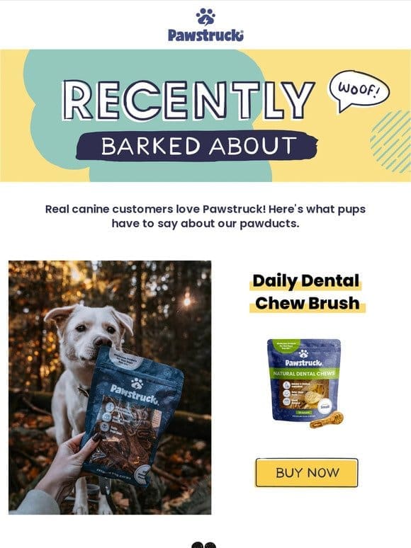 Discover treats and chews your dog will love!