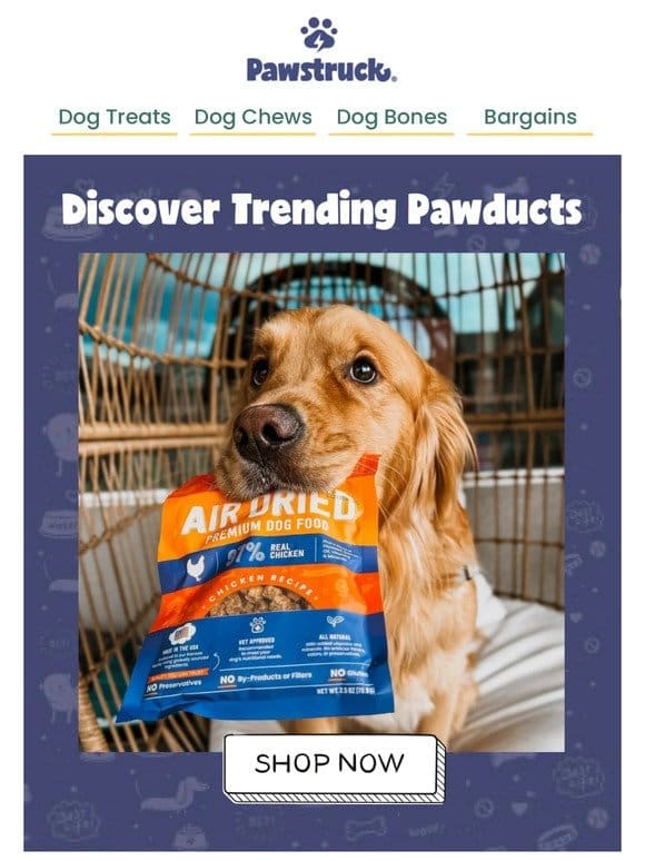 Discover trending pawducts