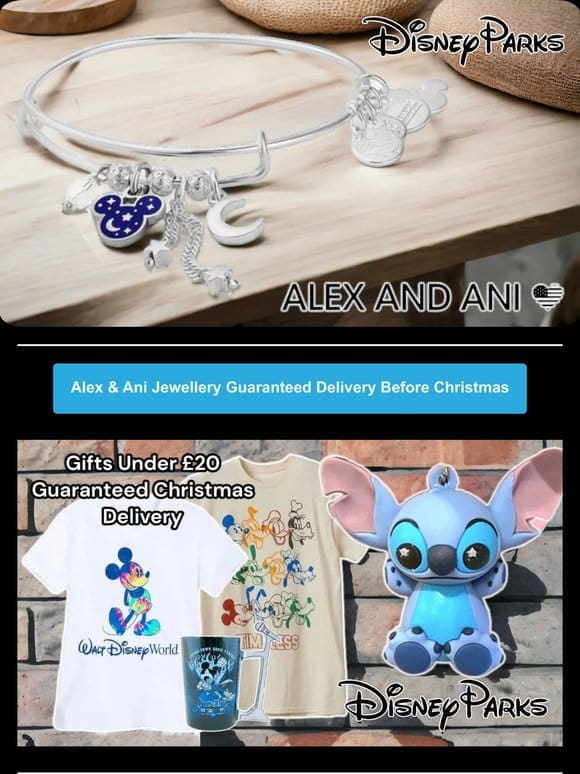 Disney Parks Gifts Under £20 + Alex & Ani Jewellery