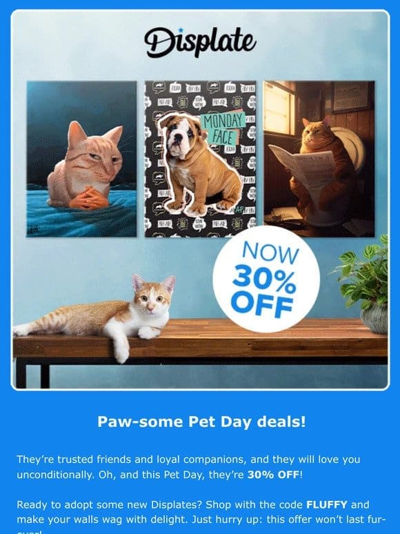Displater， paws up for Pet Day deals!