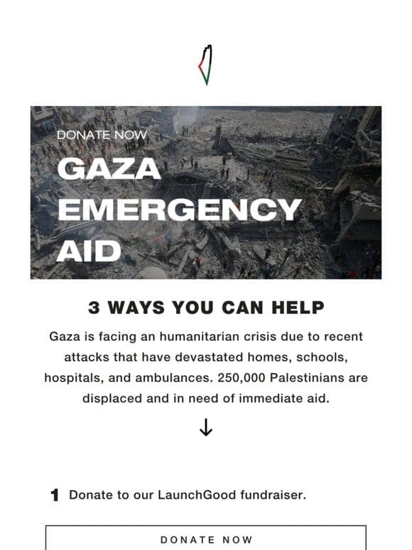 Donate to Gaza Emergency Aid Fundraiser