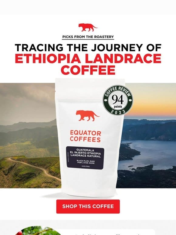 Ethiopian Coffee or Ethiopia Landrace?