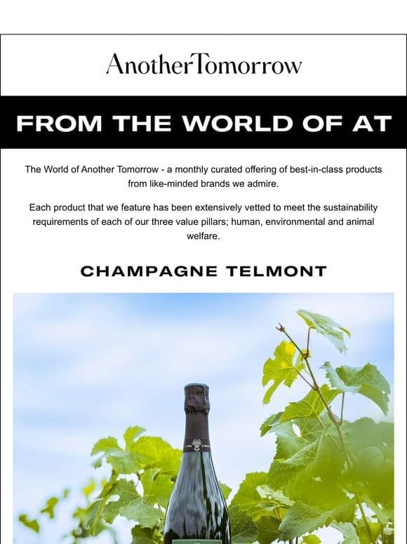 From The World of Another Tomorrow – Champagne Telmont