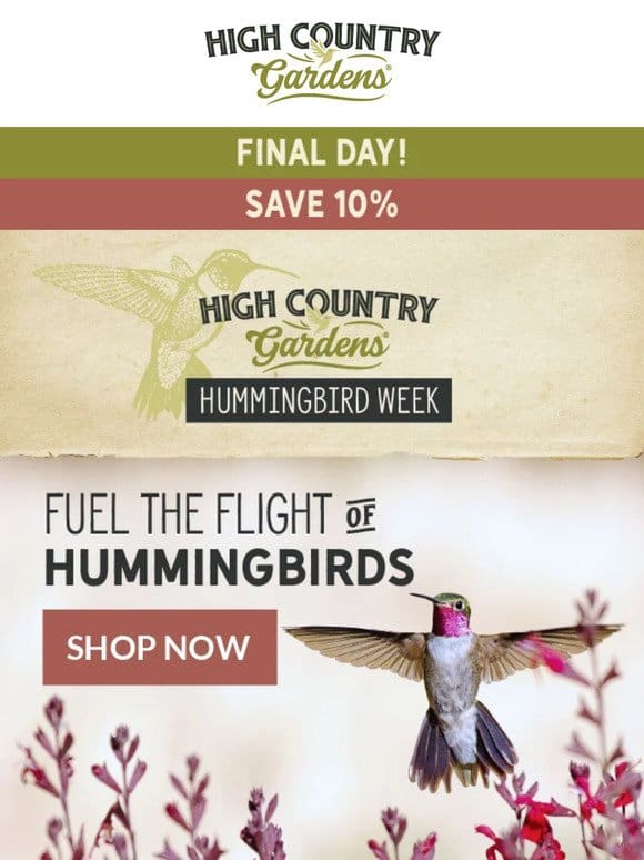 Fuel The Flight Of Hummingbirds | Save 10%
