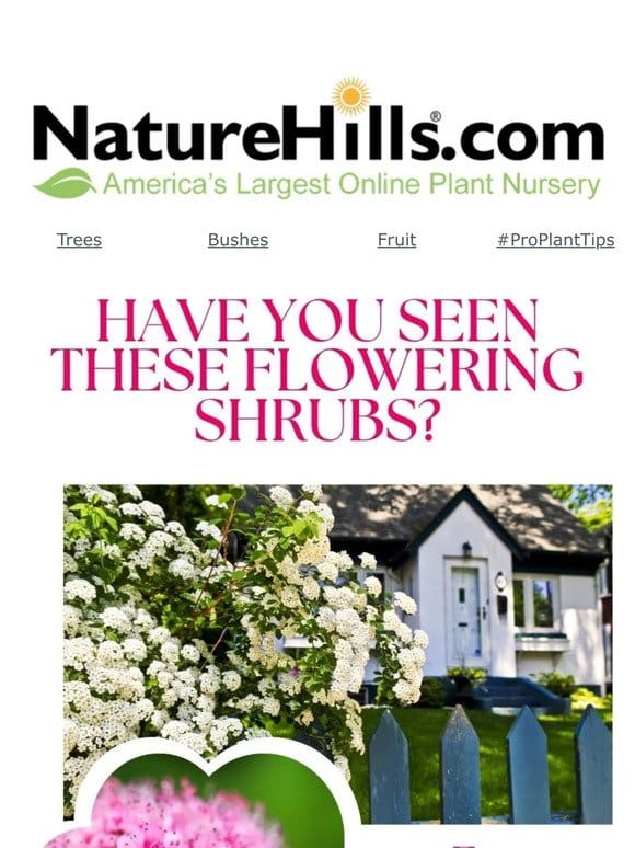 Have you seen these flowering shrubs?