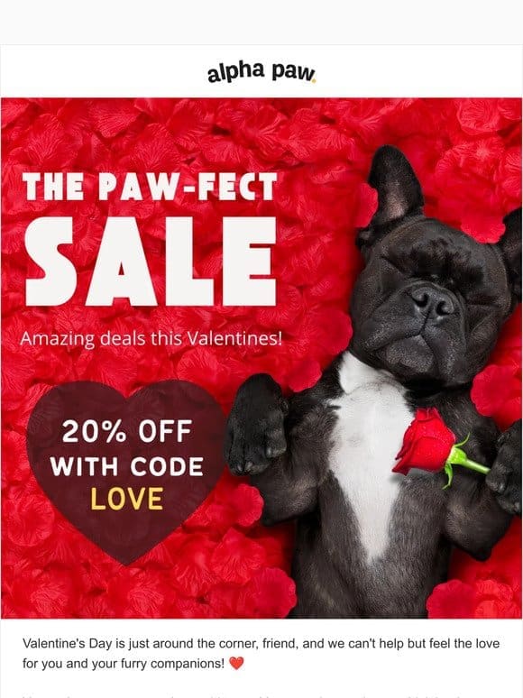 Hey There， Valentine’s Day Sale Starts Now! ❤️