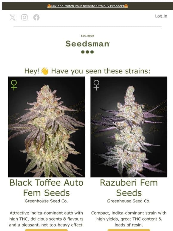 Hey， have you seen these Greenhouse Seed Co. Strains?