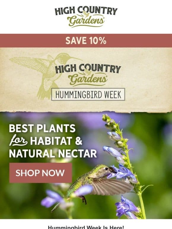 Hummingbird Week Is Here – Save 10%
