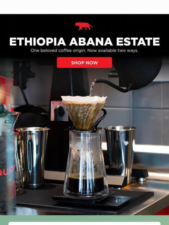 Instant Ethiopian Coffee or Whole Bean?