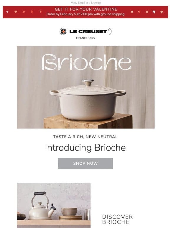 Introducing Brioche: Our New French Beige with a Luxurious Matte Finish