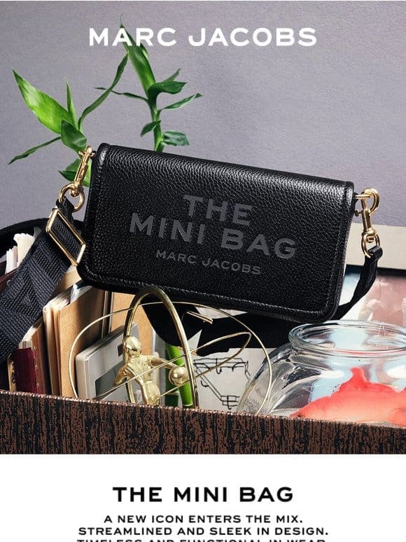 Introducing， The Mini Bag