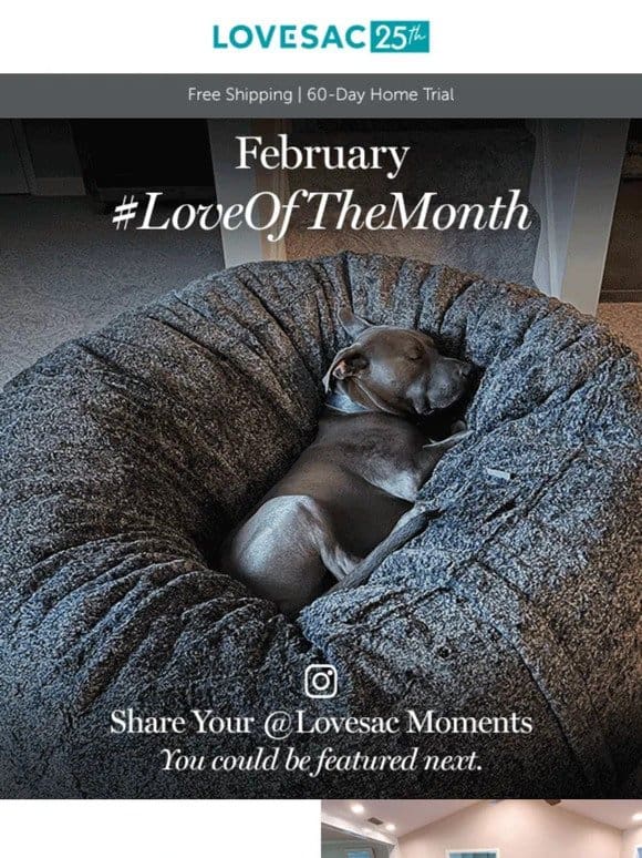 It’s Here! February #LoveOfTheMonth ❤️