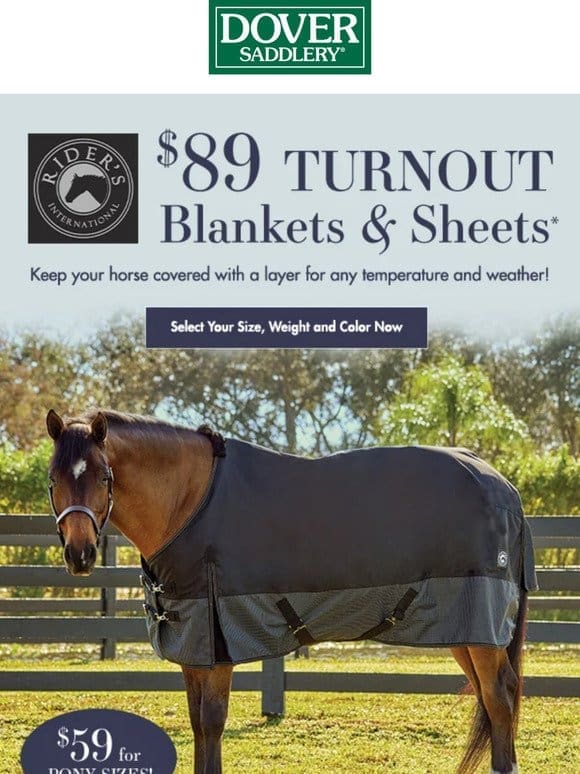 Keep Your Horse Covered in Any Weather