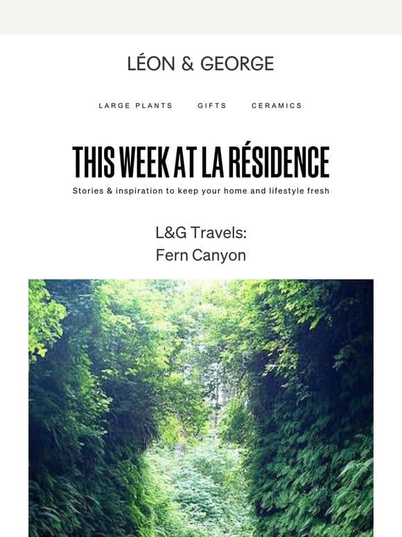 L&G Travels: Fern Canyon