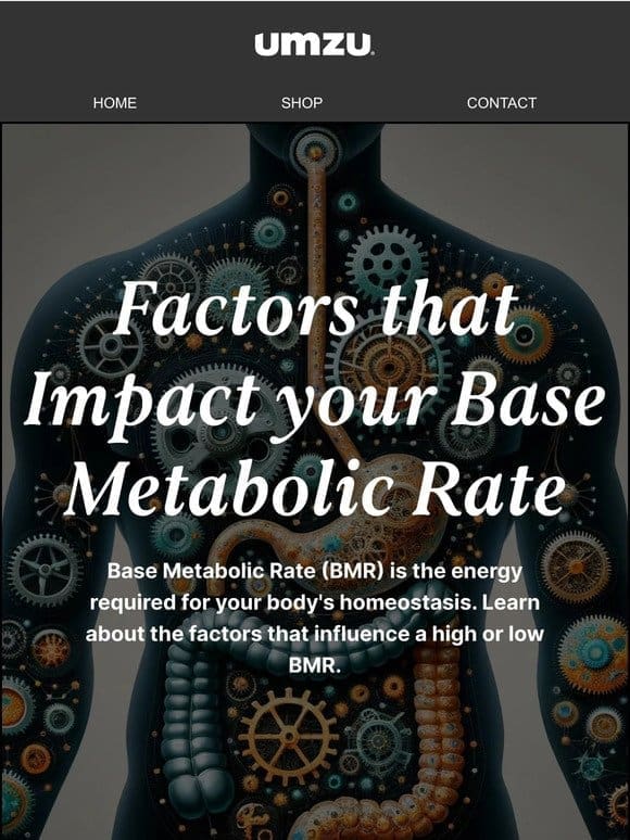 LIST: 14 Ways to Influence Your Base Metabolic Rate