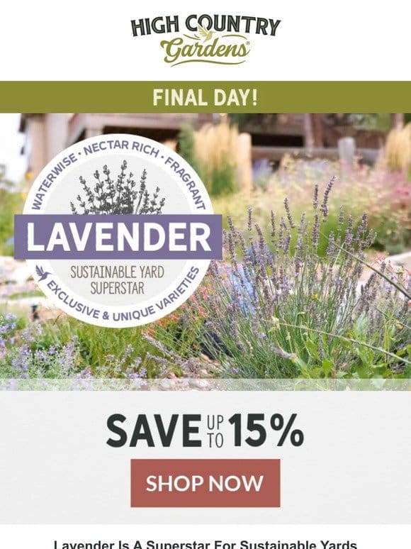 Last Call: Lavender Sale!