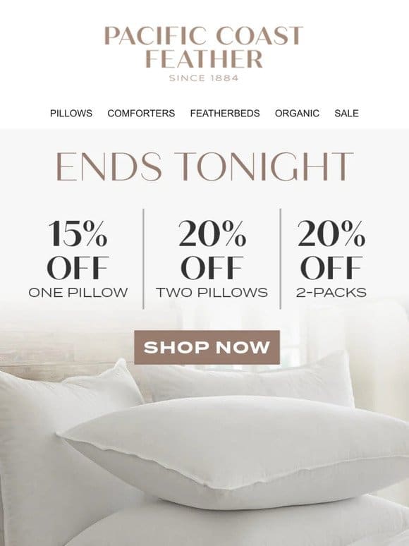 Last Chance to Shop Pillows – up to 20% OFF!