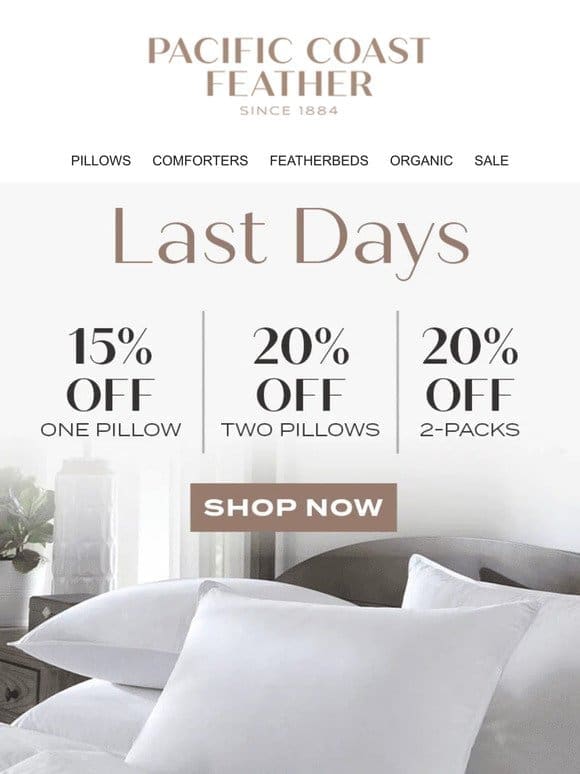 Last Two Days to Shop The Pillow Sale
