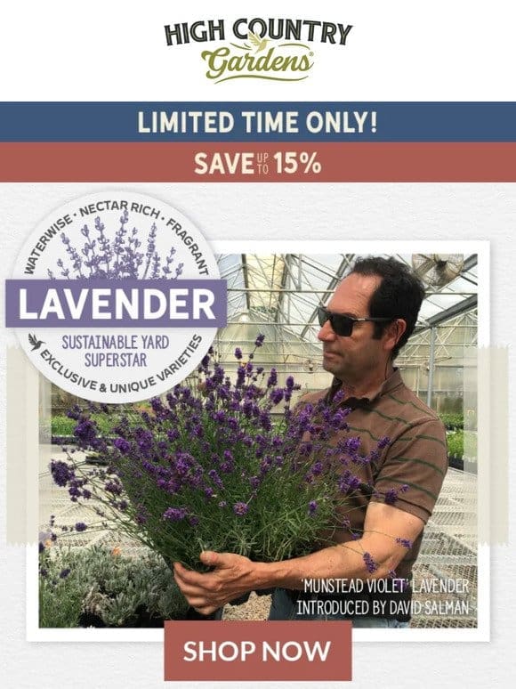 Lavender Sale! Save Up To 15%