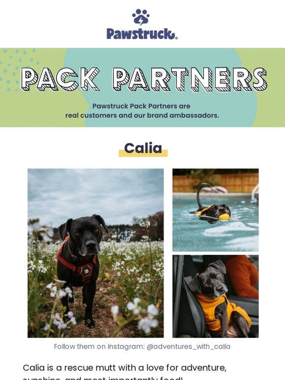 Meet Pack Partner， Calia the rescue!