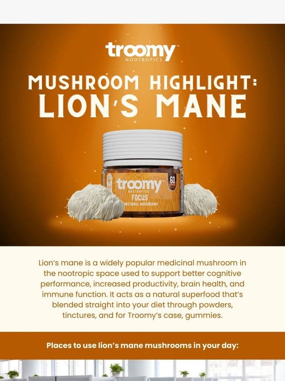 Mushroom Highlight: Lion’s Mane