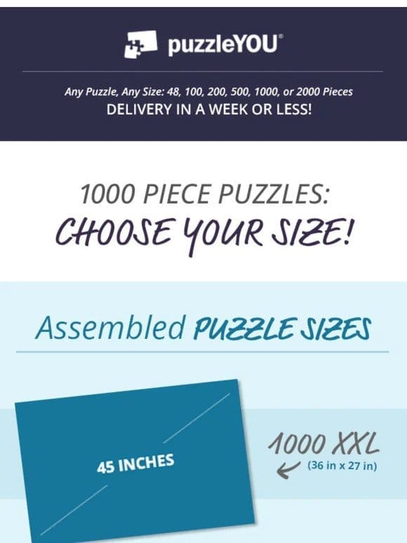 NEW! Your favorite 1000-piece puzzle now in 2 sizes!