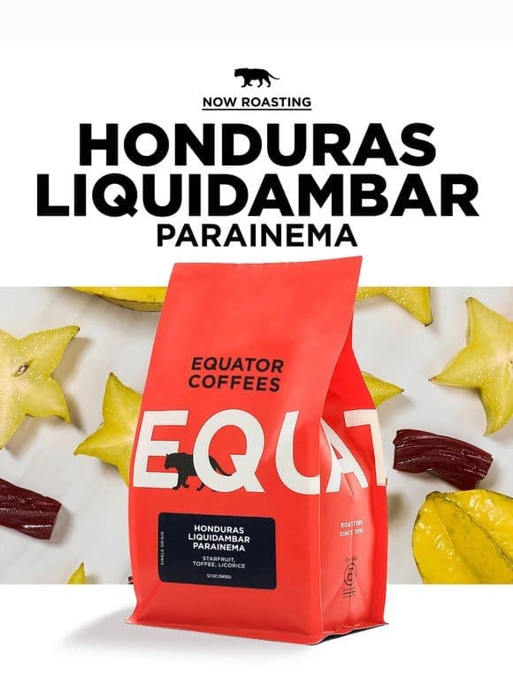 Now Roasting: Honduras Liquidambar Parainema   ☕️