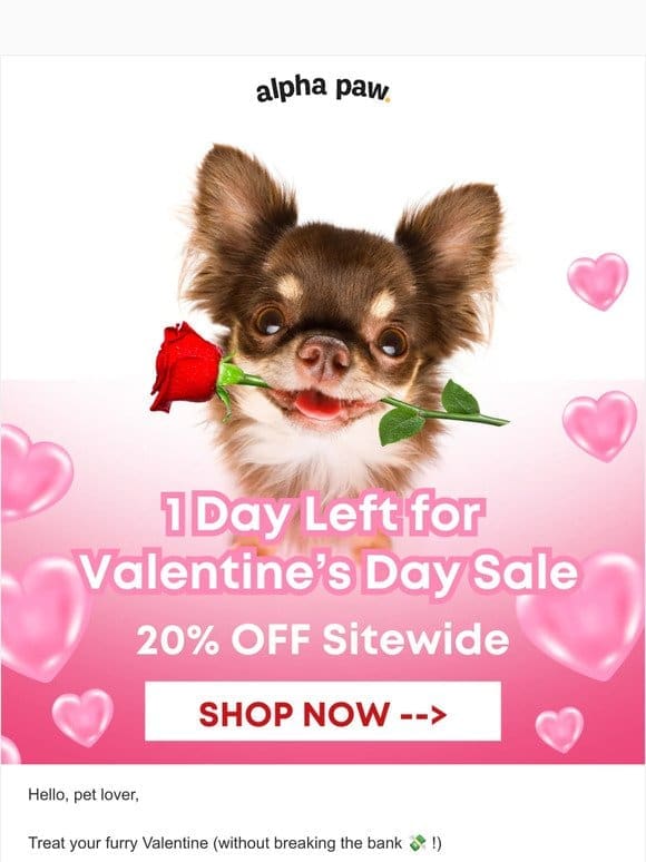 Only 1 Day Left! Don’t Miss Our Valentine’s Sale!